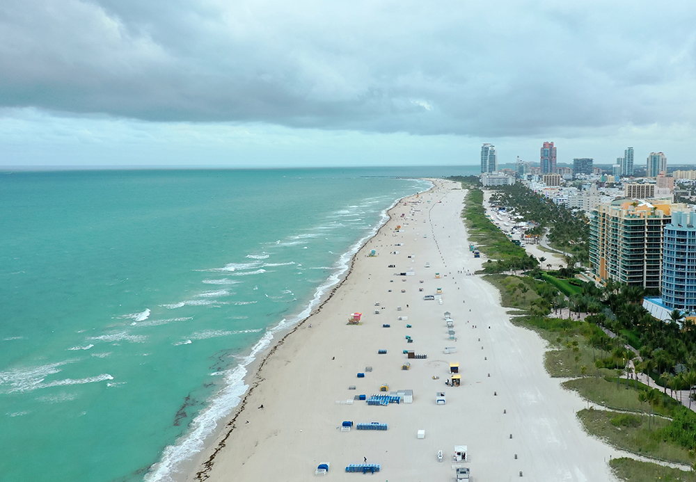 Chauffeur Service in Miami