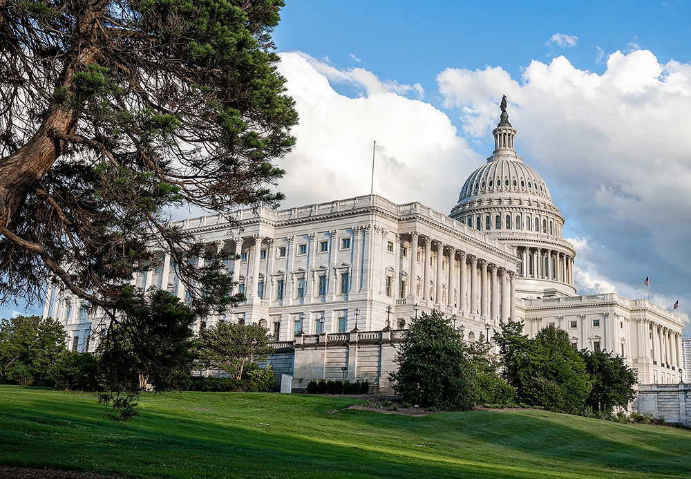 Chauffeur Services in Washington DC